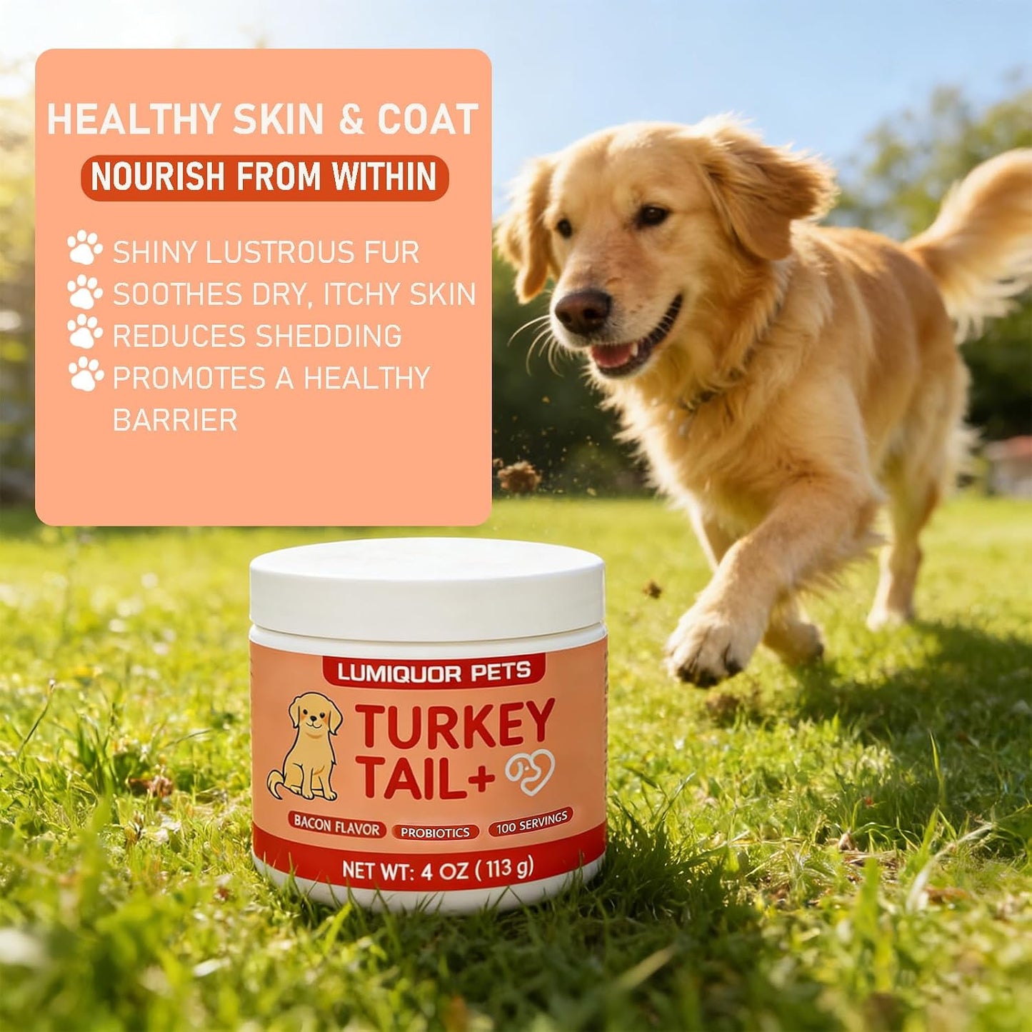 Advanced Senior Dog Immune & Gut Support