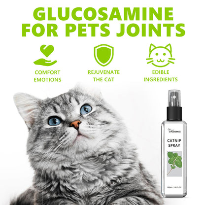 Phalam Pet Catnip Spray – Natural Anxiety Relief & Vitality Boost for Cats