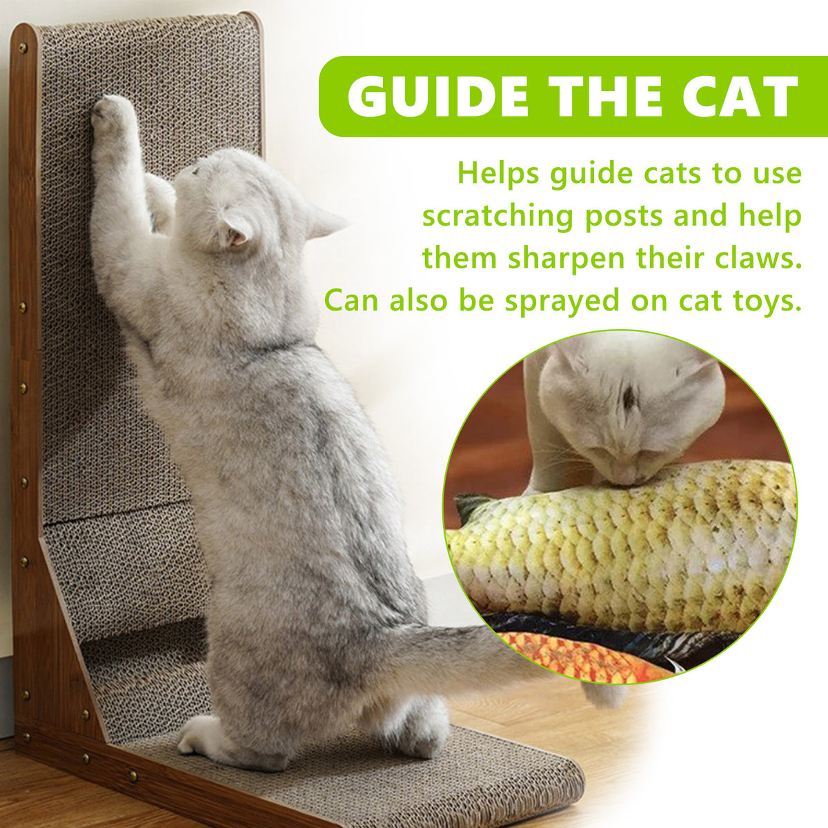 Phalam Pet Catnip Spray – Natural Anxiety Relief & Vitality Boost for Cats