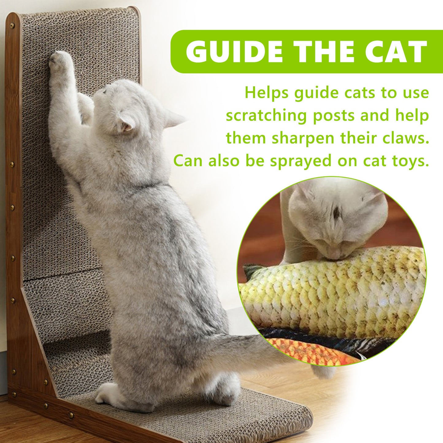 Phalam Pet Catnip Spray – Natural Anxiety Relief & Vitality Boost for Cats