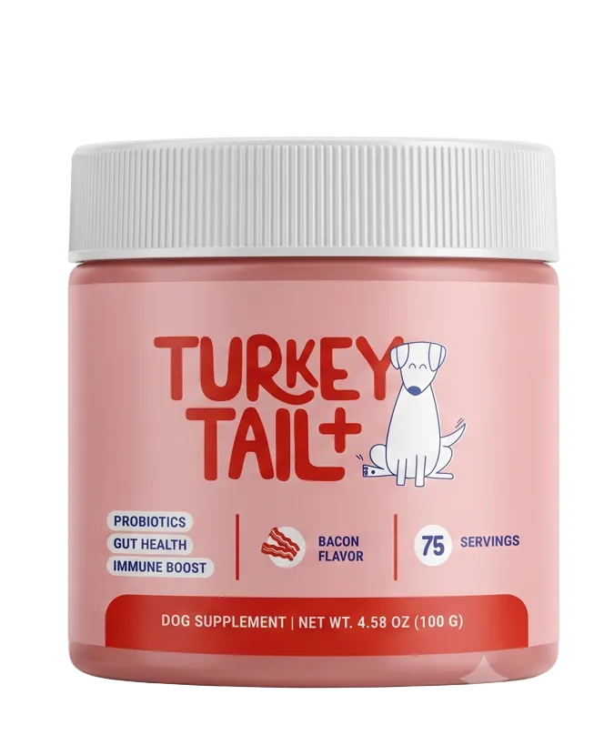 Probiotics with Turkey Tail Mushroom – Digestive & Immune Support for Dogs