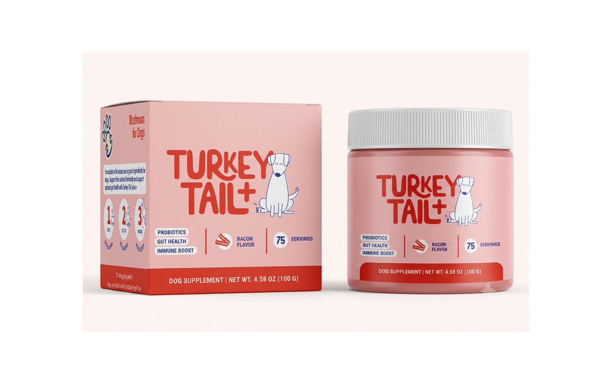 Probiotics with Turkey Tail Mushroom – Digestive & Immune Support for Dogs