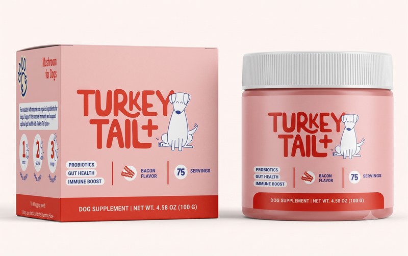 Phalam Pet Turkey Tail Mushroom Supplement for Dogs — Immunity & Digestive Support