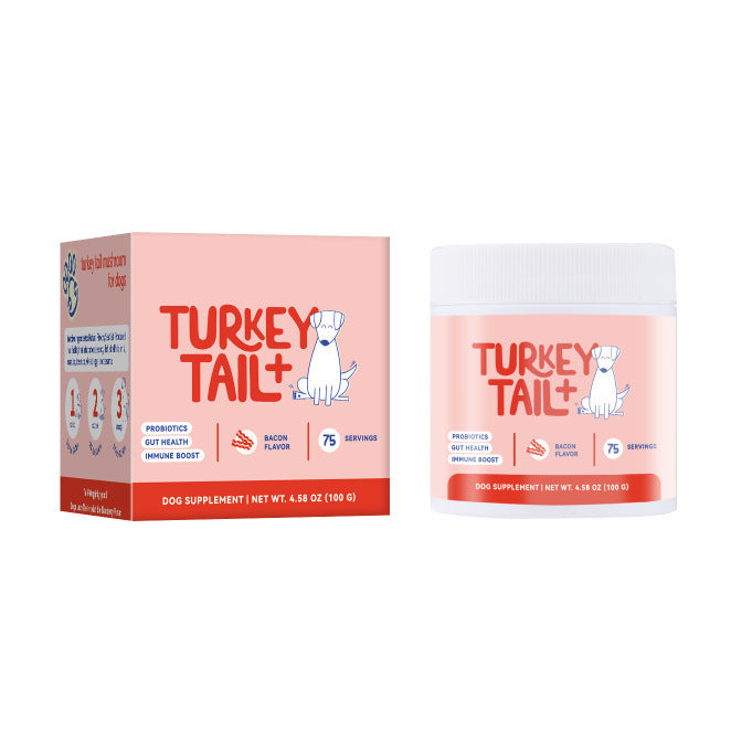Phalam Pet Turkey Tail Mushroom Supplement for Dogs — Immunity & Digestive Support