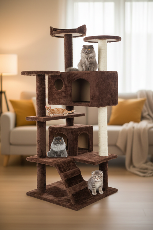 Cat Tower - Kitten in Condo