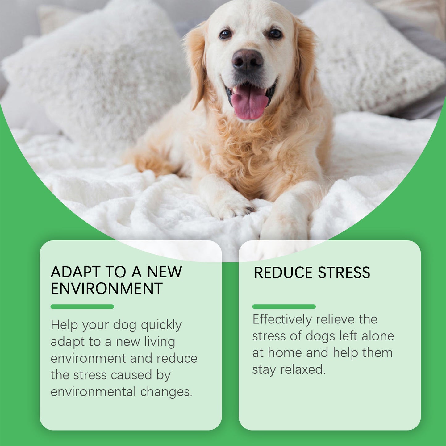 Anxiety Relief Calming Spray for Cats and Dogs