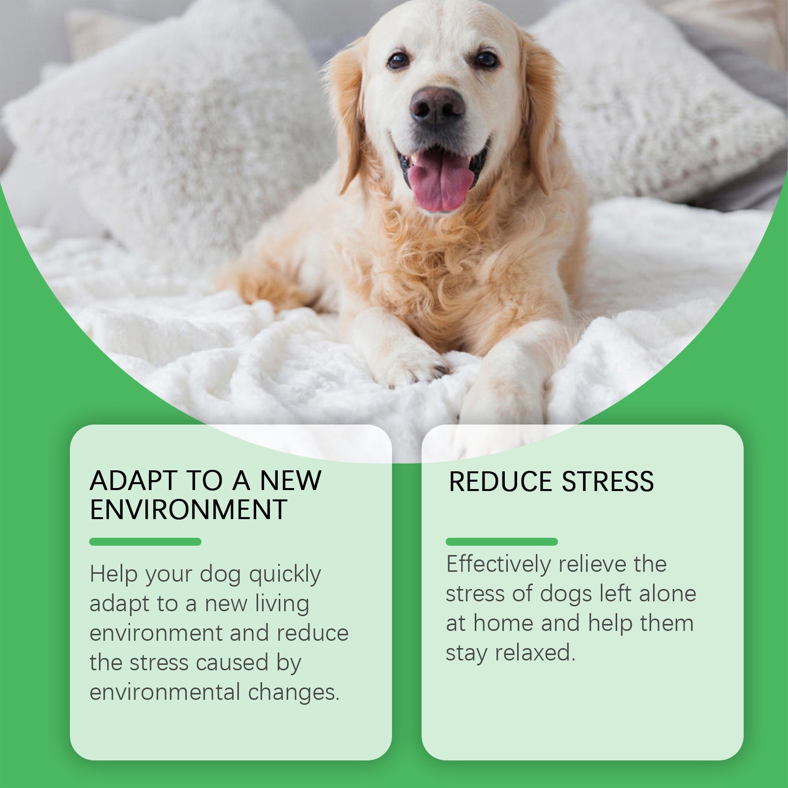 Pet Anxiety Relief diffuser get