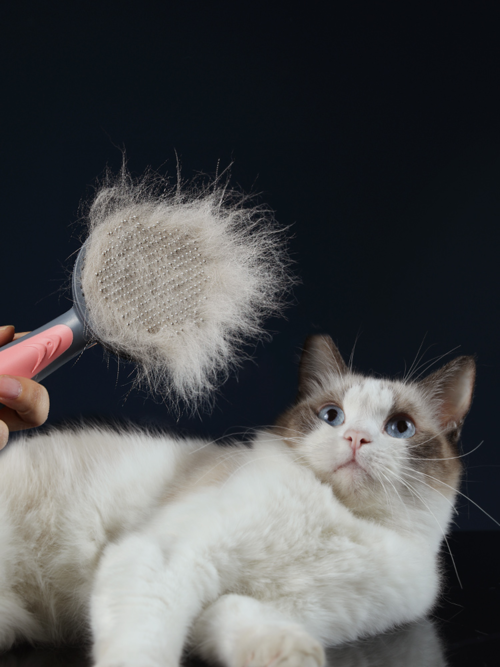 Phalam Pet Self-Cleaning Pet Grooming Comb – For Cats & Dogs