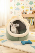 Dinosaur Pet House