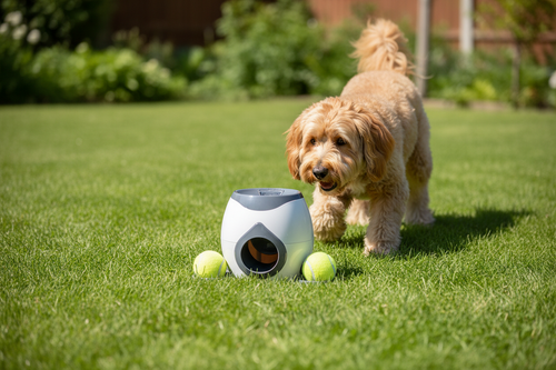 Dog Automatic Snack Dispenser Tennis Ball Launcher