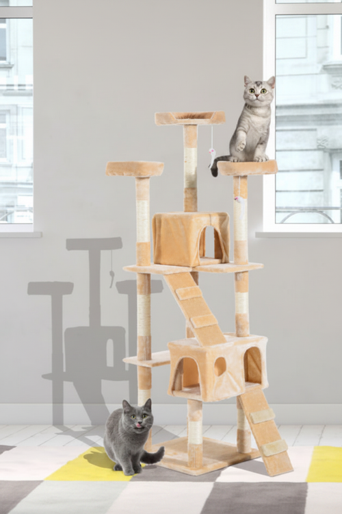 PawHut 67" Cat Tree - Lifestyle